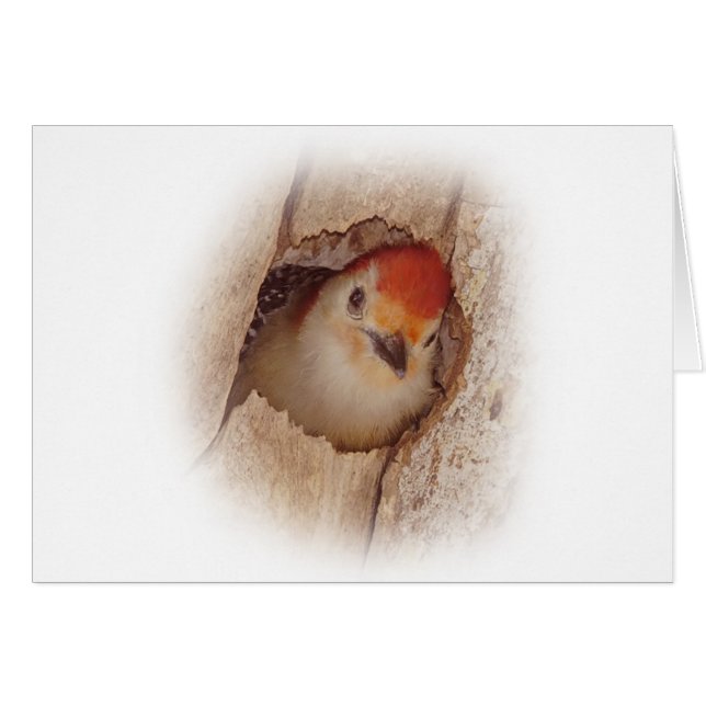 Pulsación de corriente (Anverso (Horizontal))