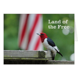 pulsación de corriente Rojo-dirigida