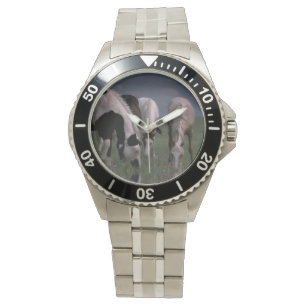 Pulsera Bebida de la familia de caballos Piebald, reloj de