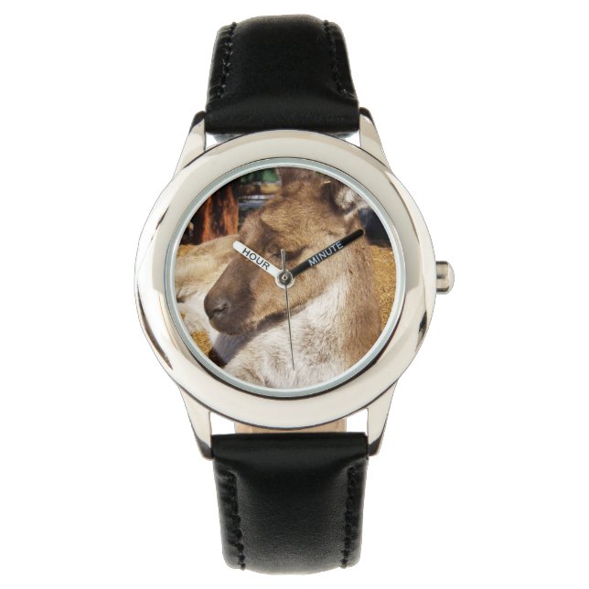 Pulsera Canguro Australiano, Reloj de Cuero Infantil. (Anverso)