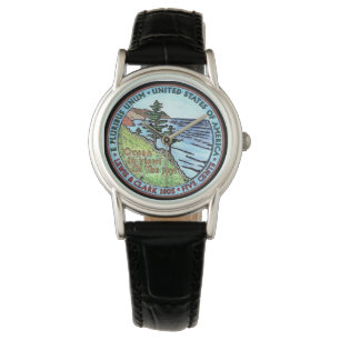 Pulsera Colorized Lewis y reloj del níquel de la