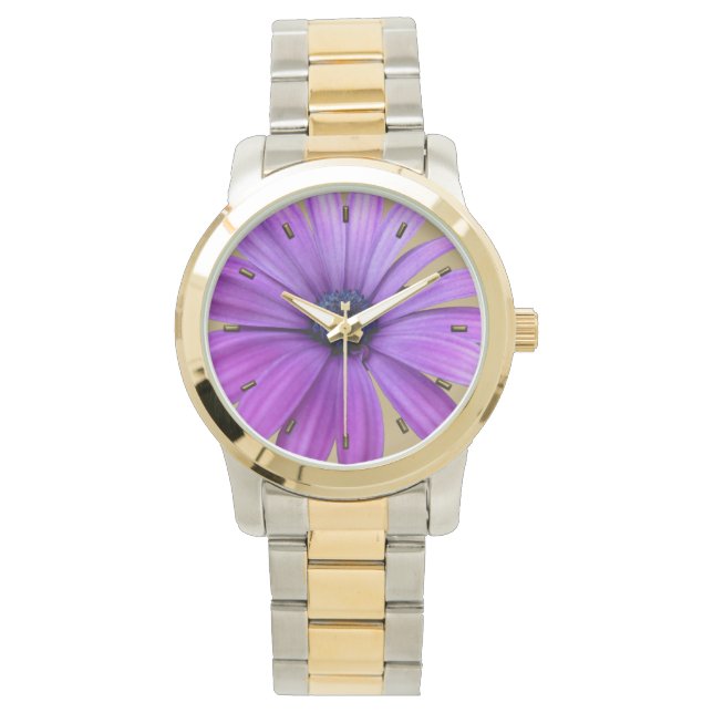 Pulsera Daisy Watch Purple Daisy Flor Reloj de muñecas (Anverso)