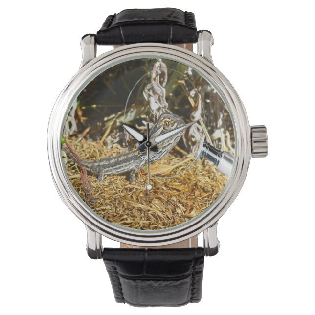 Pulsera Dragón con barba de bebé gracioso, reloj de pulser (Anverso)