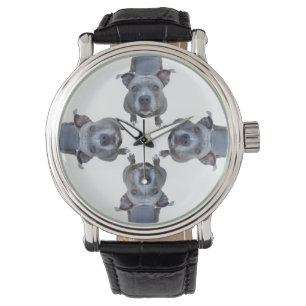 Pulsera El reloj de los hombres de Pitbull del perro