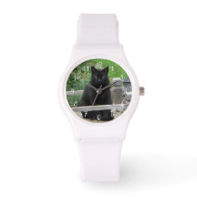 Gato negro en un reloj con número de puente