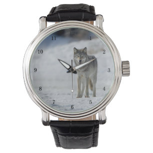 Pulsera Hermoso reloj de muñecas de vida silvestre