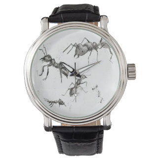 Pulsera Hormigas marchando en reloj masculino con banda de