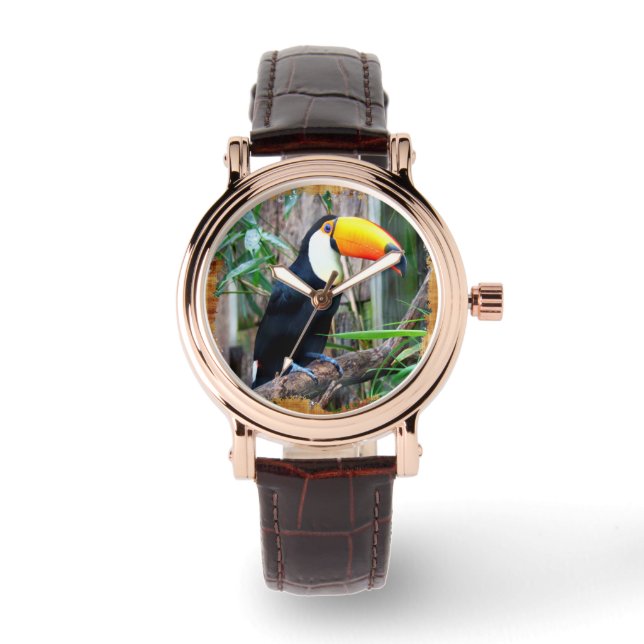 Pulsera Opciones de reloj Toucan 5B (Anverso)