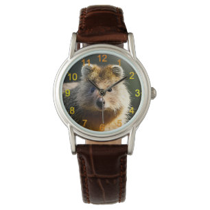 Pulsera Quintin The Ginger Quokka, Reloj De Escritura