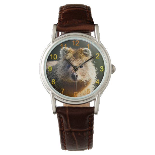 Pulsera Quintin The Ginger Quokka, Reloj De Escritura (Anverso)