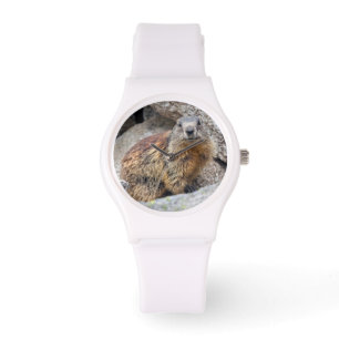 Pulsera Reloj alpino de la marmota