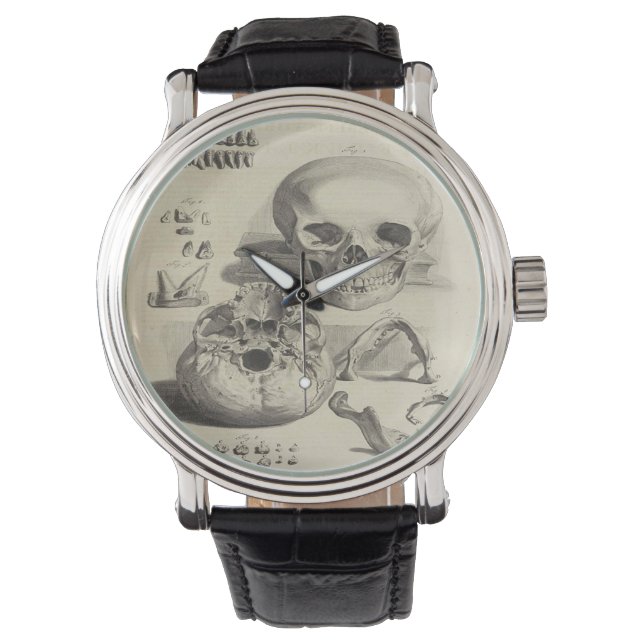 Pulsera reloj de arte del cráneo médico (Anverso)