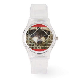 PULSERA RELOJ DE CUERO INOXIDABLE PERSONALIZADO RACCON