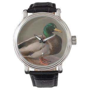 Pulsera Reloj de Drake del pato del pato silvestre