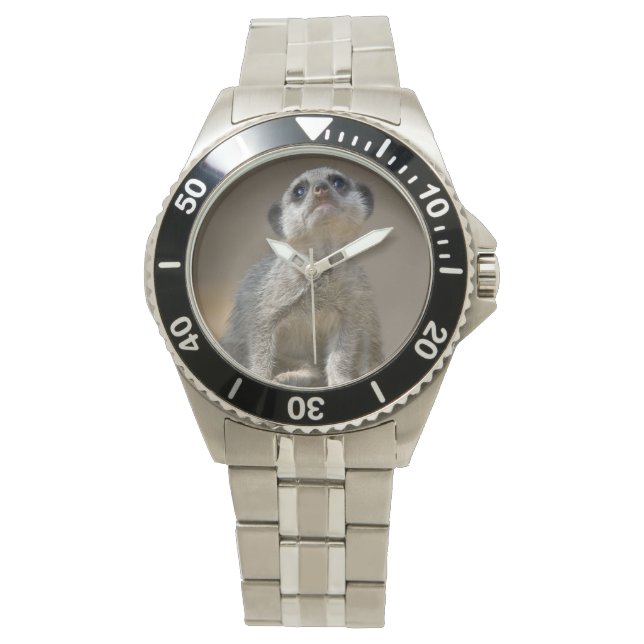 Pulsera Reloj de gato Kute (Anverso)
