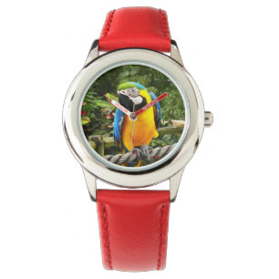 Pulsera Reloj de loro de Macao exótico