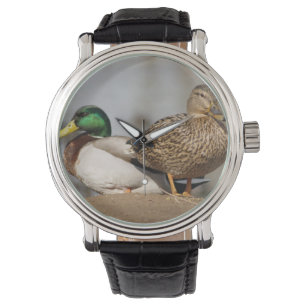 Pulsera Reloj de los patos del pato silvestre