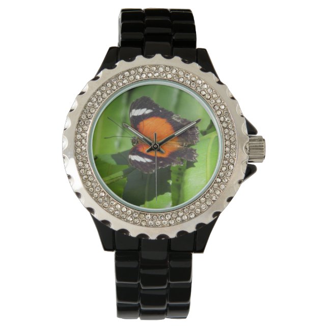 Pulsera Reloj de mariposa tropical (Anverso)