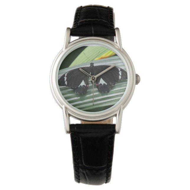 Pulsera Reloj de mariposa tropical blanco y negro (Anverso)