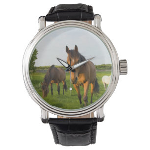 Pulsera Reloj de muñeca de caballo