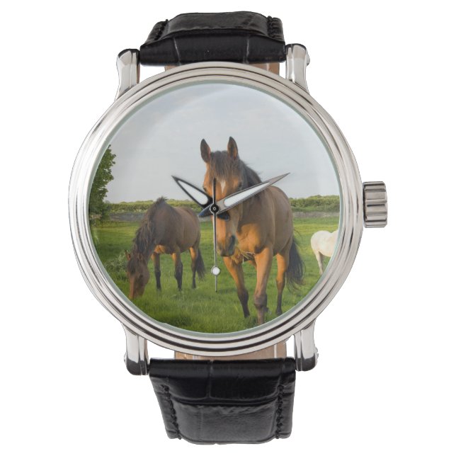 Pulsera Reloj de muñeca de caballo (Anverso)