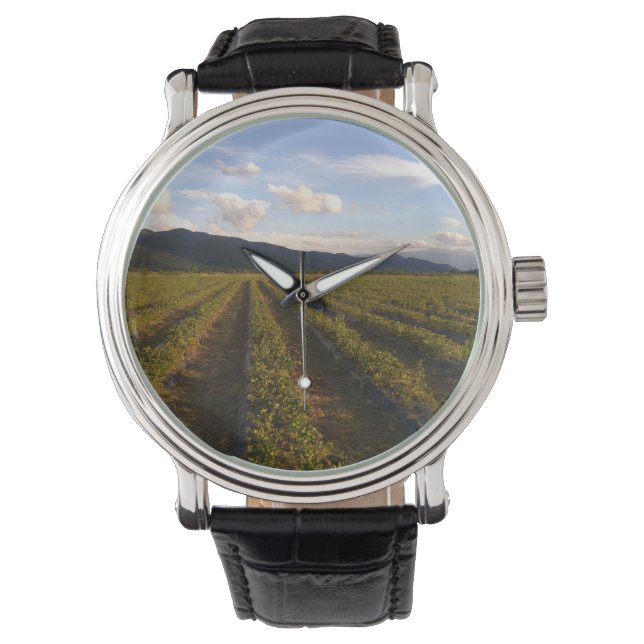 Pulsera reloj de pared de verano (Anverso)