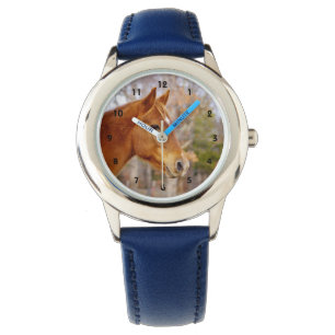 Pulsera Reloj del caballo de la castaña