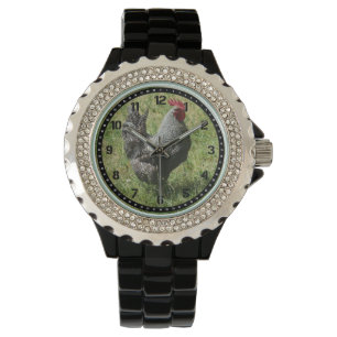 Pulsera Reloj del pollo de Plymouth Rock