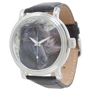 Pulsera Reloj del potro de Shetland