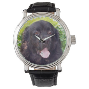 Pulsera Reloj deportivo del perro de Terranova