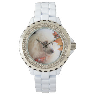 Pulsera Reloj diamante de imitación blanco del perro de