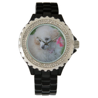Pulsera Toy Poodle perro reloj de muñeca diamante de imita