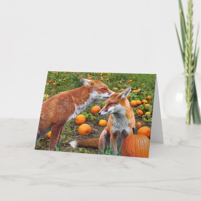 "Pumpkinpatch Foxes" la tarjeta de felicitación (Anverso)