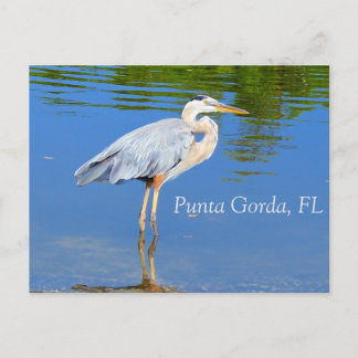Punta Gorda, postal FL