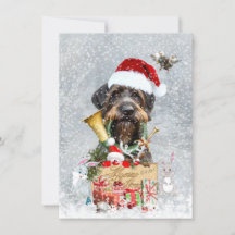 Puntero cableado alemán, tarjeta de caza de jabalí