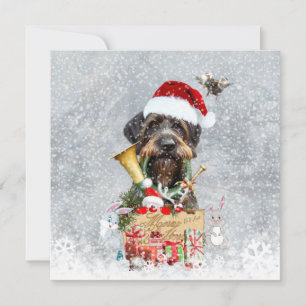 Puntero con cable, Navidades de perros
