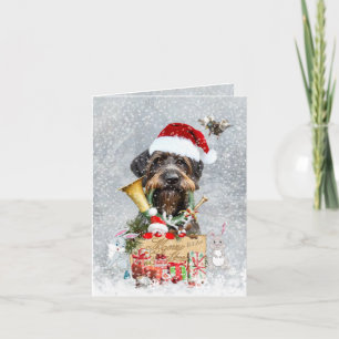 Puntero con cable, Navidades de perros