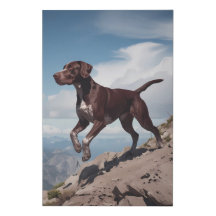 Puntero de Shorthair alemán elegante canvas arte d