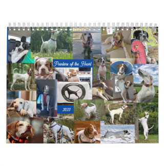 Punteros del calendario cardíaco de 2023 PunteroRe