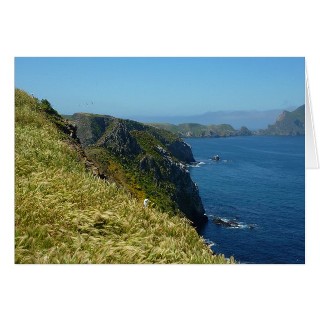 Punto de inspiración II de Anacapa en las Islas de (Anverso (Horizontal))