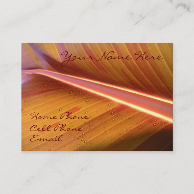 Punto de la tarjeta ligera del perfil (Anverso)