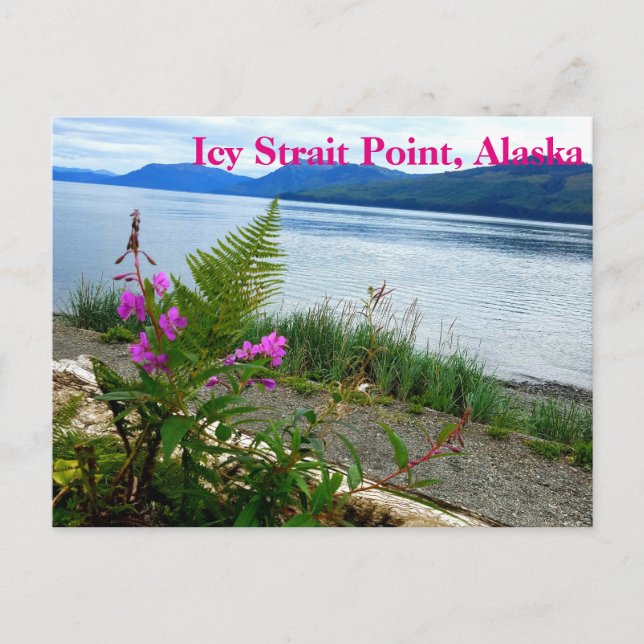 Punto del Estrecho Icy, postal Alaska (Anverso)