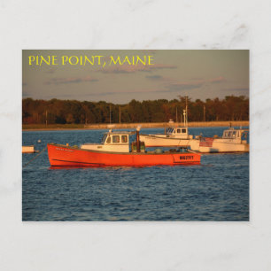 Punto Pino, Postales Maine