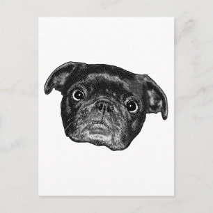 Punto Pug Sonriente Postal