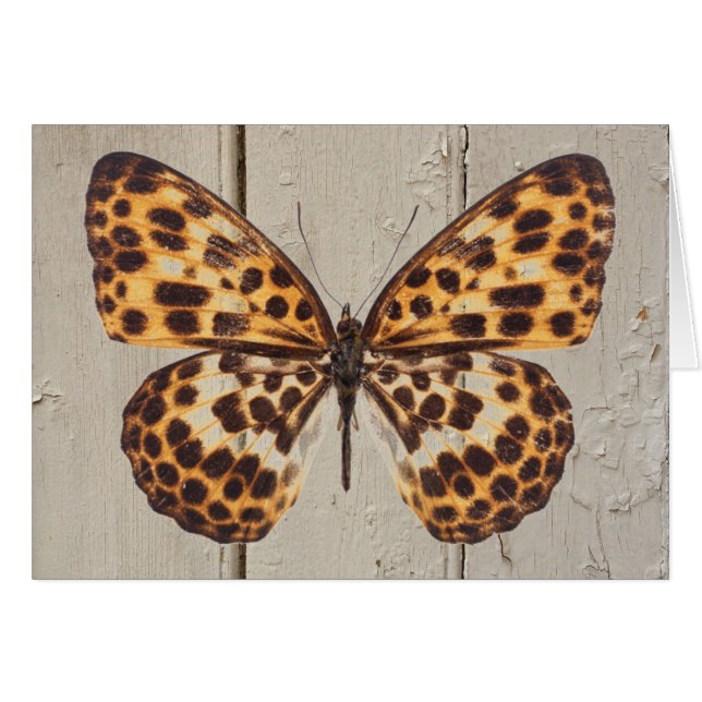 Puntos de la mariposa w/Leopard en la tarjeta de (Anverso (Horizontal))