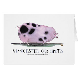 puntos viejos de Gloucester, fernandes tony