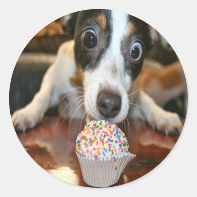 Pup Cake Pegatina (Anverso)