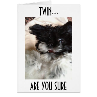 PUP CONFUSED DICE ¿CÓMO PUEDES SER **60** TWIN?