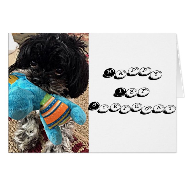 PUPPY CON EL JUGUETE DICE QUE ESTÁS VOLVIENDO **** (Anverso (Horizontal))