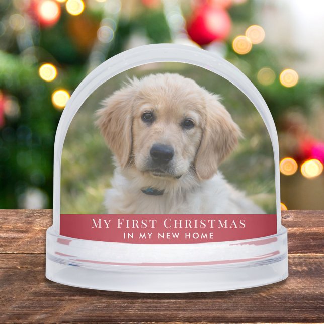 Puppy First Christmas Photo (Subido por el creador)